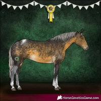 Horse Color:Silver Buckskin Tobiano Rabicano