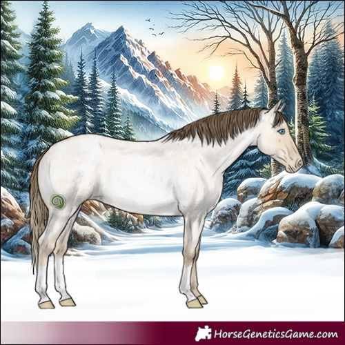Horse Color:Buckskin Roan Pearl Dun Rabicano 