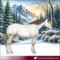 Horse Color:Buckskin Roan Pearl Dun Rabicano 