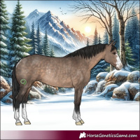 Horse Color:Brown Dun Rabicano 