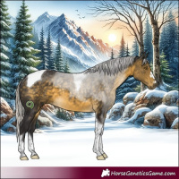 Horse Color:Silver Buckskin Tobiano Rabicano