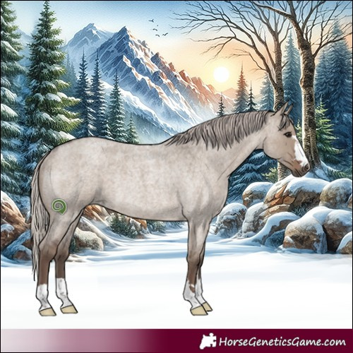Horse Color:Silver Grullo Roan Rabicano