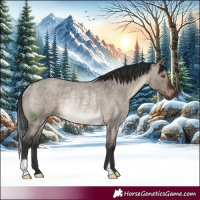 Horse Color:Brown Roan Dun Rabicano