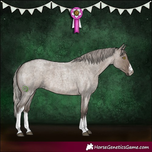 Horse Color:White Spotted Silver Grullo Roan