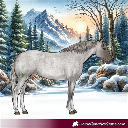 Horse Color:White Spotted Silver Blue Roan 