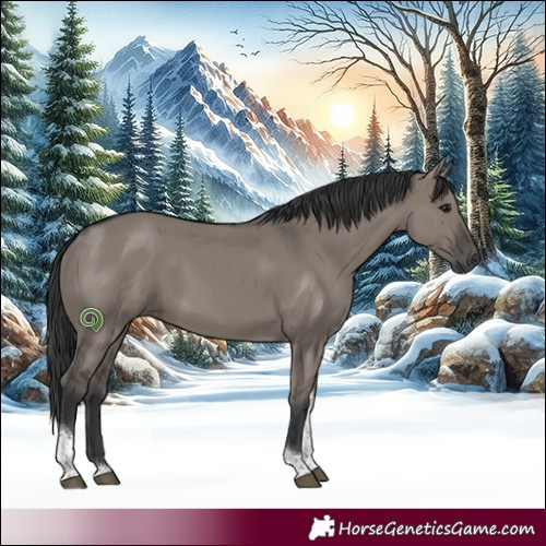 Horse Color:Grullo Tobiano Rabicano 