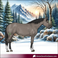 Horse Color:Grullo Tobiano Rabicano