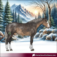 Horse Color:Silver Smoky Black Rabicano 
