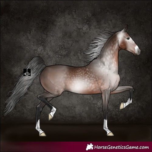 Horse Color:Gray Bay