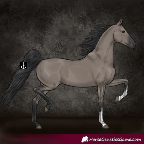 Horse Color:Grullo Sabino Rabicano