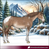 Horse Color:Liver Red Dun Sabino Tobiano Rabicano
