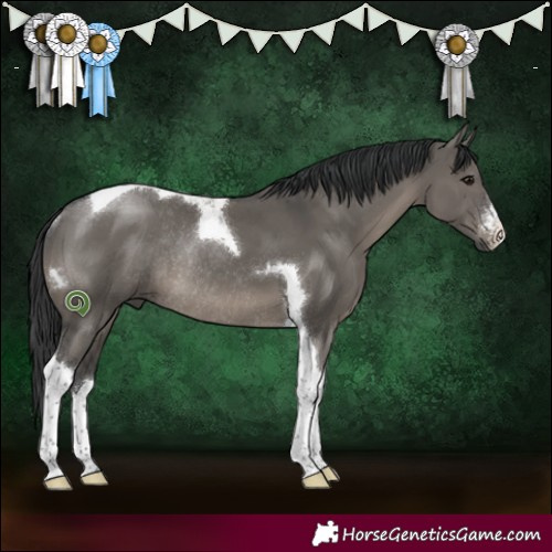 Horse Color:White Spotted Grullo Tobiano Rabicano 