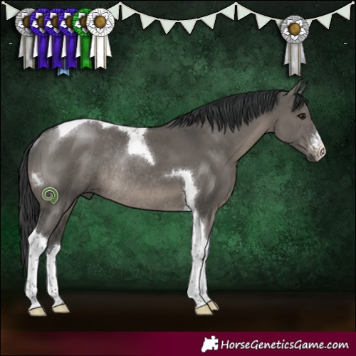 Horse Color:White Spotted Grullo Tobiano Rabicano