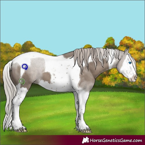 Horse Color:White Spotted Silver Grullo Splash Tobiano