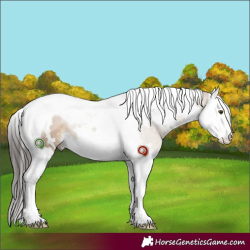 Horse Color:White Spotted Liver Red Dun Splash Tobiano Rabicano