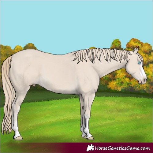 Horse Color:Smoky Creme