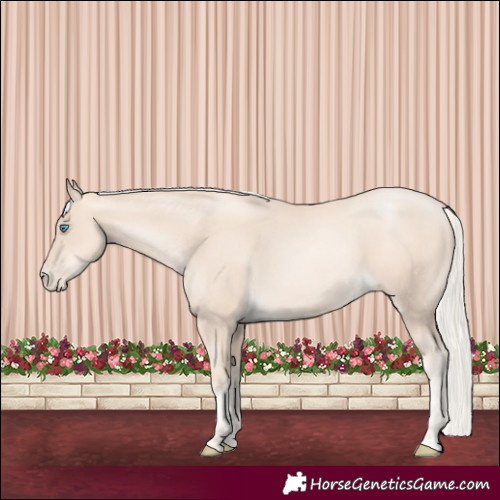 Horse Color:Gold Cream Champagne Pearl
