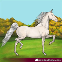 Horse Color:Silver Amber Cream Champagne Pearl 