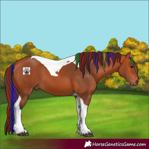 Horse Color:Painted Bay Tobiano 