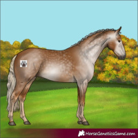 Horse Color:Gray Palomino 