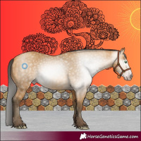 Horse Color:Gray Amber Cream Champagne 