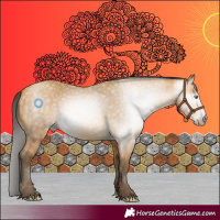 Horse Color:Gray Amber Cream Champagne 