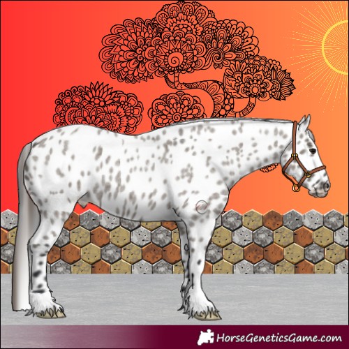 Horse Color:Unknown 