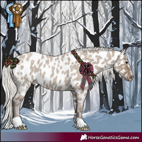 Horse Color:Silver Grullo Roan Near Leopard 