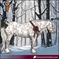 Horse Color:Silver Grullo Roan Near Leopard 