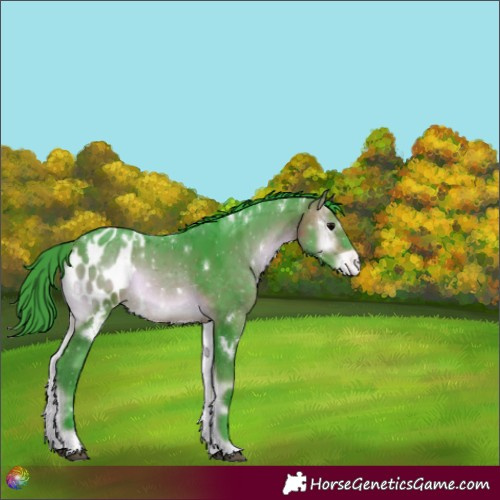 Horse Color:Watercolor White Spotted Brown Onyx Blanket