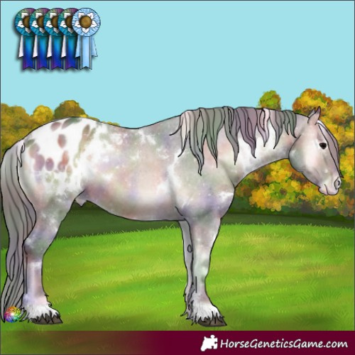 Horse Color:Nacre White Spotted Brown Onyx Blanket 