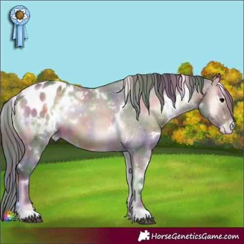 Horse Color:Nacre White Spotted Brown Onyx Appaloosa 