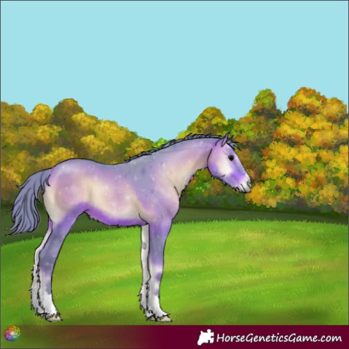 Horse Color:Watercolor Bay Onyx 