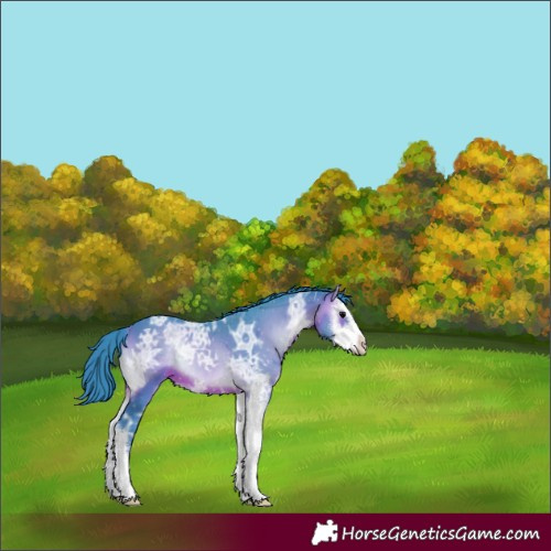 Horse Color:Watercolor Brown Ice Onyx Sabino
