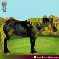 Horse Color:ERROR: UNKNOWN ANOMALY