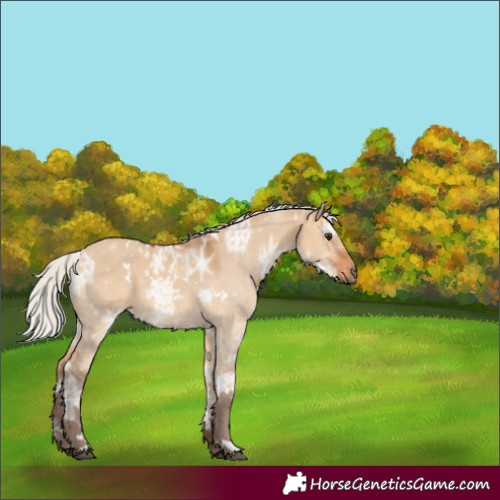 Horse Color:White Spotted Silver Bay Ice Dun 