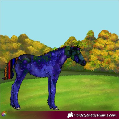 Horse Color:ERROR: UNKNOWN ANOMALY