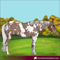 Horse Color:White Spotted Silver Black Varnish 