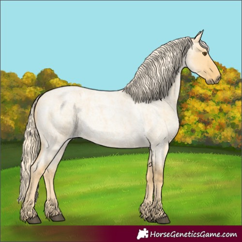 Horse Color:Palomino Roan Dun 