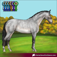 Horse Color:Gray Brown Roan Mushroom Sabino