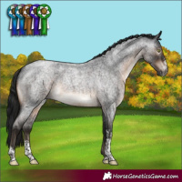 Horse Color:Gray Brown Roan Mushroom Sabino