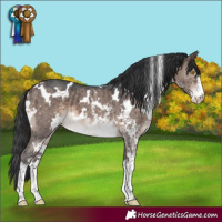 Horse Color:White Spotted Brown Dun Mushroom Sabino Brindle 