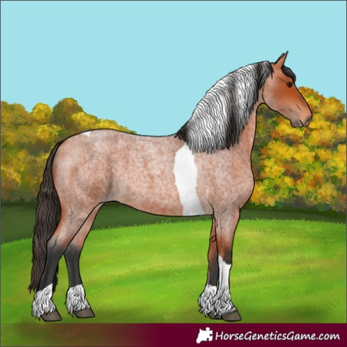 Horse Color:Bay Roan Tobiano 