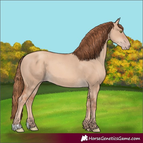 Horse Color:Gold Champagne Dun 