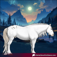 Horse Color:Smoky Grullo Snowflake Varnish 
