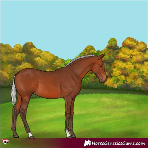 Horse Color:Silver Brown 