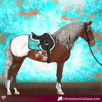 Horse Color:Silver Bay Snowcap 