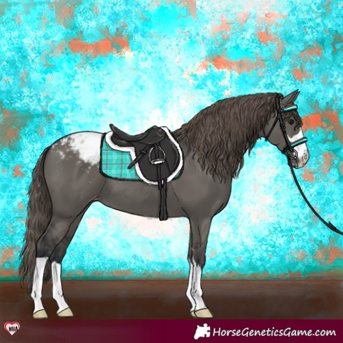 Horse Color:Grullo Snowcap 