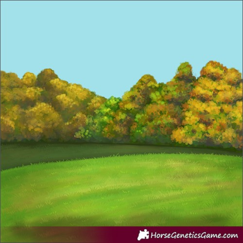 Horse Color:Silver Classic Champagne Dun Splash Frame 