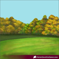 Horse Color:Silver Classic Champagne Dun Splash Frame